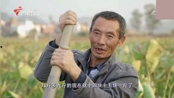 国产老纪录片视频大全,国产老纪录片视频大全精选回顾