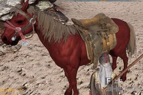 国产马匹种类介绍图解视频,探寻中华马种的瑰宝