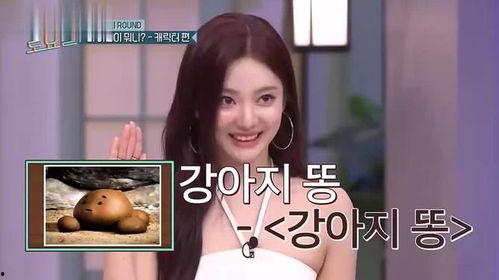 搞笑国产综艺真人秀视频,国产综艺真人秀欢乐大揭秘