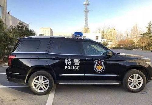 霸气国产警车视频