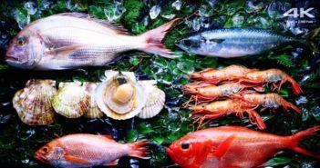 测评国产鳌虾品种视频,品质与口感的双重体验