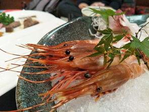 测评国产鳌虾品种视频,品质与口感的双重体验