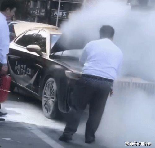 国产红旗车事故视频播放,揭秘事故真相与安全警示