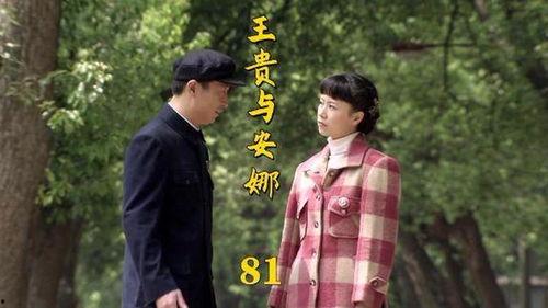 国产都市剧解说合集视频