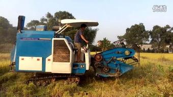 国产收割机推广视频,高效收割新篇章