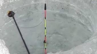国产冰钓神器视频,冰面垂钓新体验