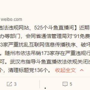 免费国产黄网视频,暗流涌动的网络迷雾