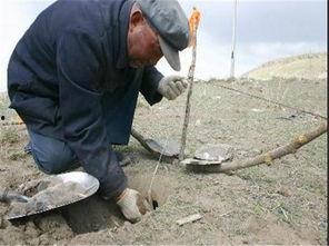 国产满嘴射农村视频,国产视频带你领略乡村风情