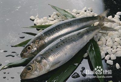 国产沙丁鱼可以吃吗视频,揭秘视频揭示美味奥秘
